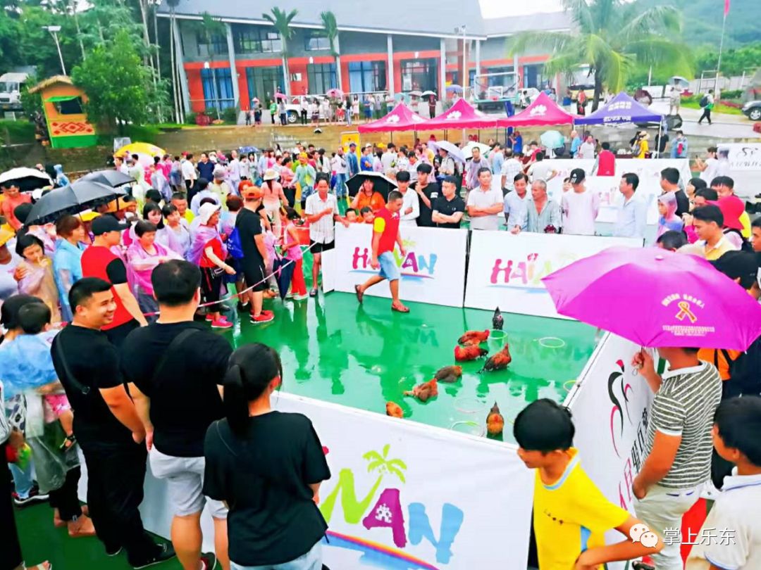 百香果采摘带旺乐东乡村游旅游扶贫助力精准脱贫