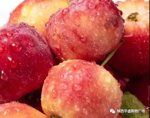 城固购物