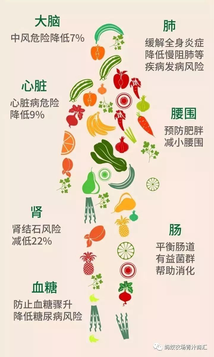 膳食纤维被营养学界补充为第七类营养素