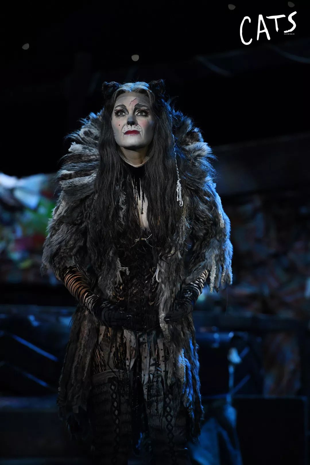 当年,伊莲·佩姬阿姨用一曲《memory(回忆)》征服了百老汇,也征服了