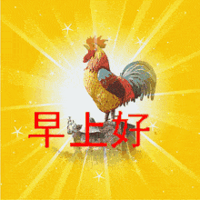 早上好我亲爱的朋友们,又是新的一天,今天的你还是一样充满希望吗?