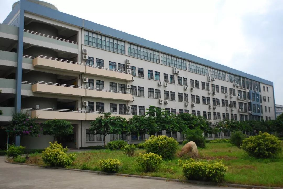 佛山市实验学校招聘公告