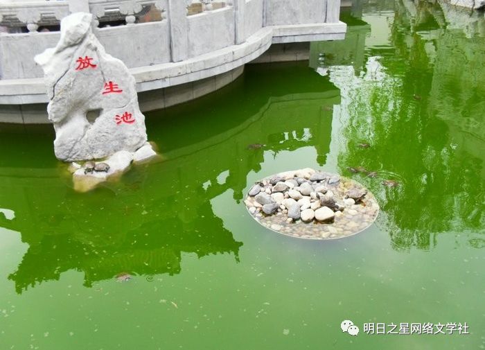 浙江季承放生池指导老师朱洁