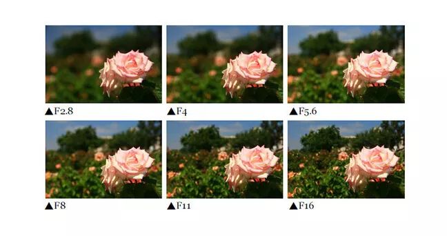 光圈与景深的关系图片