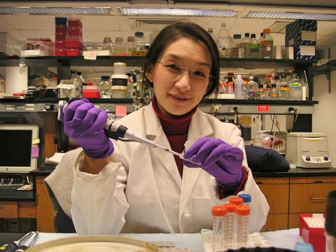 科学与艺术女神的双翼访科学艺术家曾凡一教授