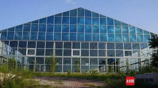 19岁嫁入豪门后,她从乖乖女变成黑社会骨干 包头新闻网_寇静瑶