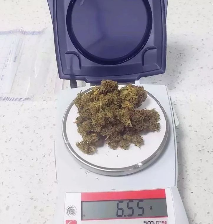 (网络图片:大麻)大麻是毒品的一种,吸食大麻会使