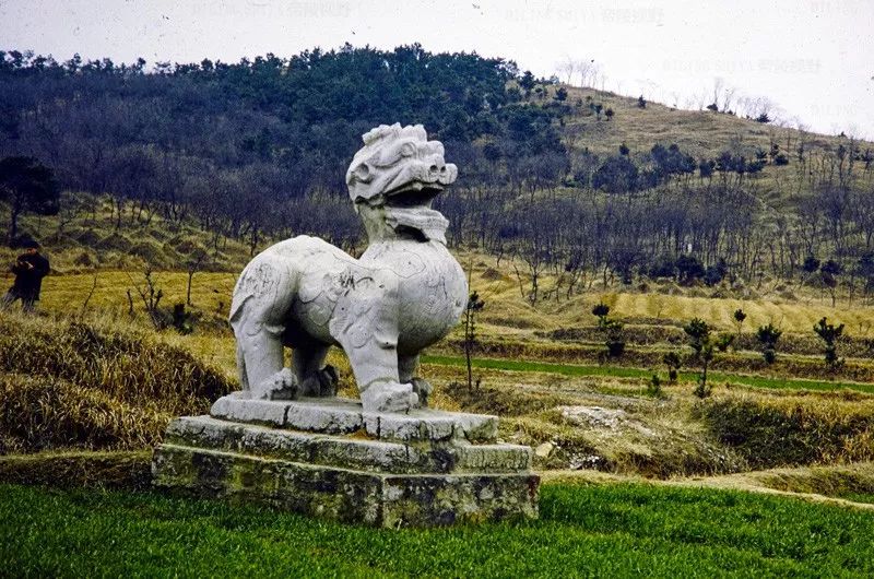 ╠531年5月7日),字德施,小字维摩,南兰陵郡兰陵县(今江苏省武进县)人