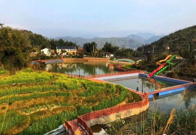 苍南这个村竟美成风景区很多人还不知道