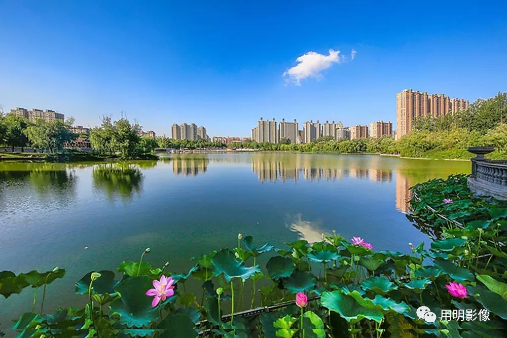 大美林州人民公园篇