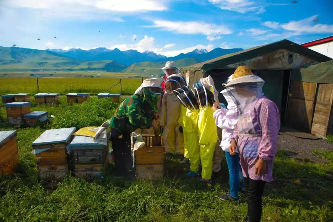 你问我要去向何方我指着伊犁的方向