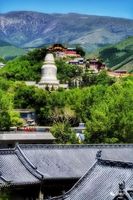 人生缘遇朝圣相惜