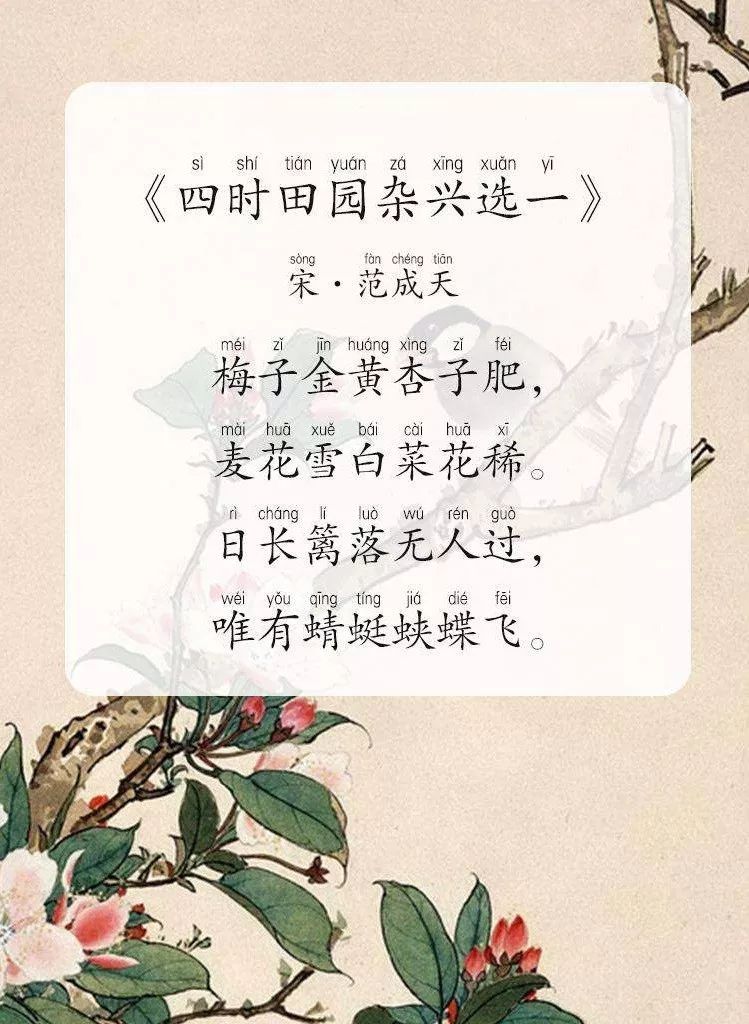 麦花雪白菜花稀配画,麦花雪白菜花稀,荞麦花雪白_大山谷图库