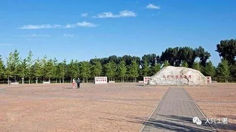 大兴区园林绿化局平原造林办公室副主任任建峰介绍,"永定河绿色港湾"