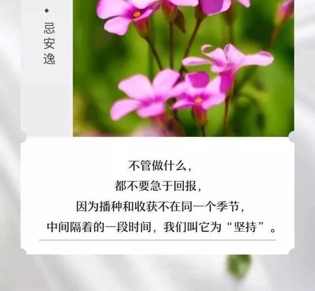 不管做什么,都不要急于回报,因为播种和收获不在同一个季节,中间隔着