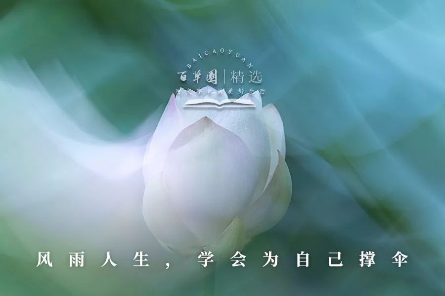 早读风雨人生学会为自己撑伞