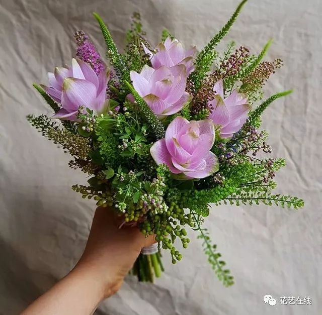 这个夏天你一定要来一束姜荷花