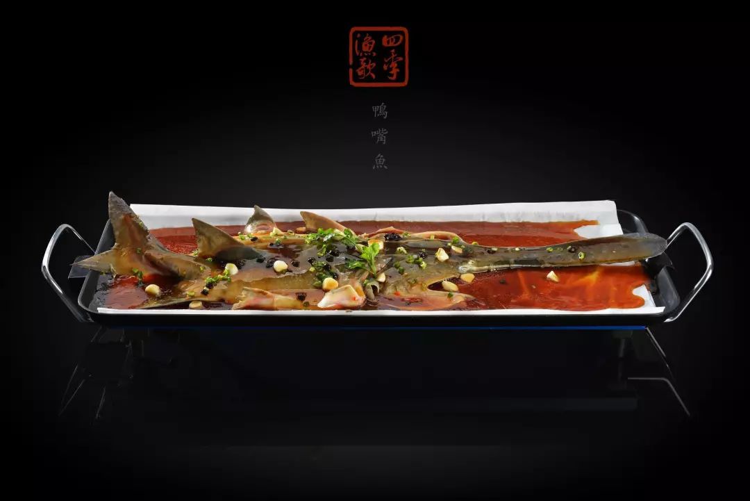 到四季渔歌吃鸭嘴鱼去啦特色剁椒蒸鸭嘴鱼46人份只要99元就能吃到营养