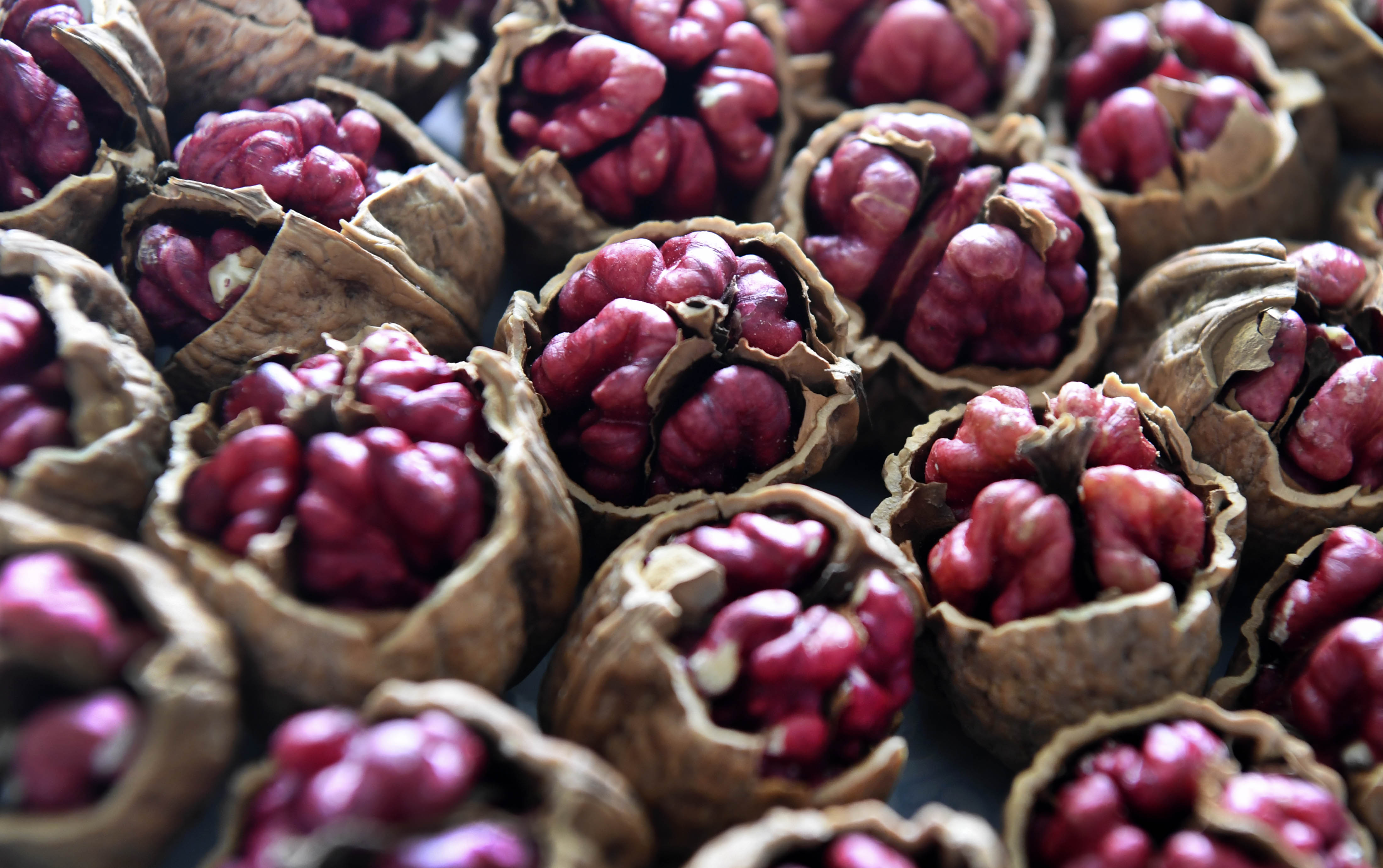 陕西洛南红仁核桃助力百姓脱贫