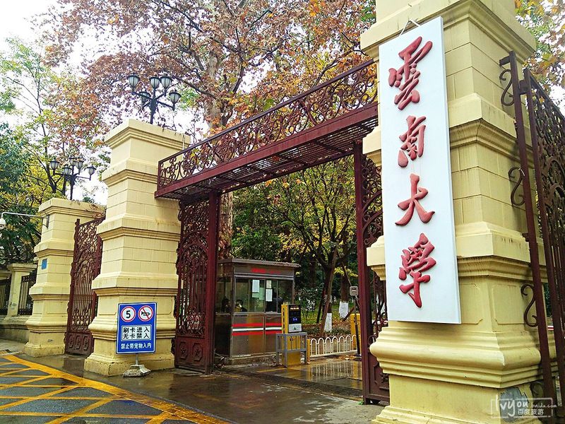 2020年云南大学工商管理硕士考研资料分数线复试经验分享