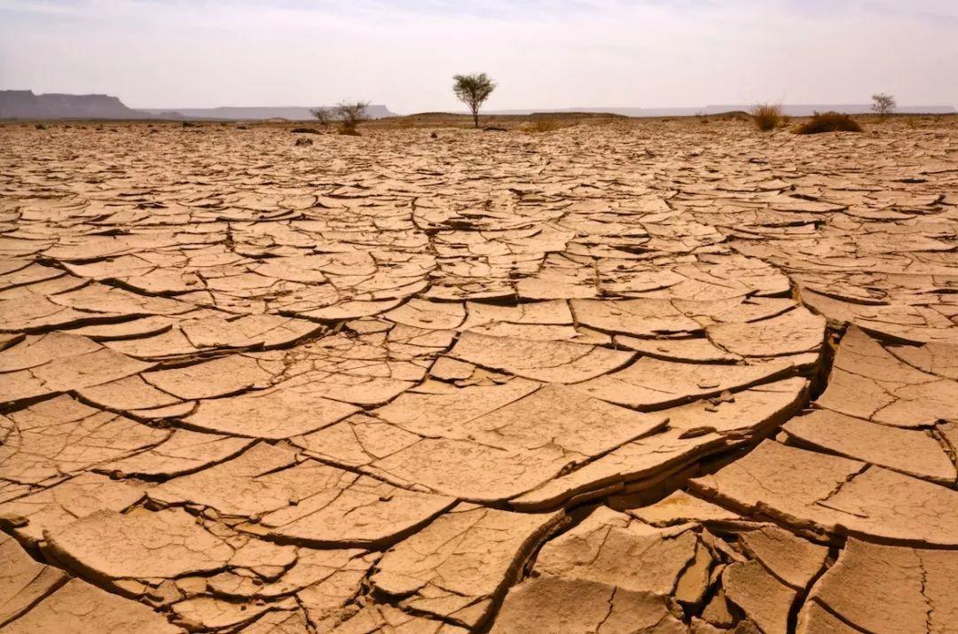 地球透支日提前到来我们该拿什么保护我们的星球