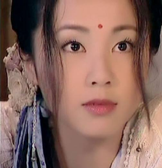 1,1999年《菩提达摩传奇》,饰演双环2,2000年《天地传说之鱼美人》