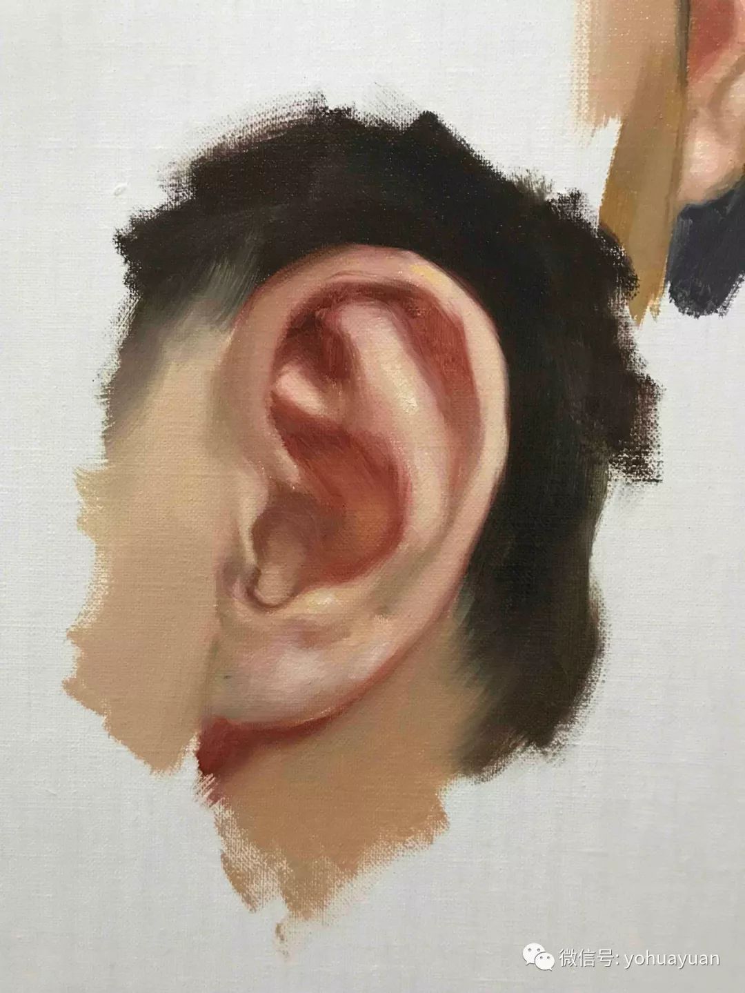 第十天:五官之:耳朵第十一天:油画速写往期示范教学讲师作品欣赏:报名