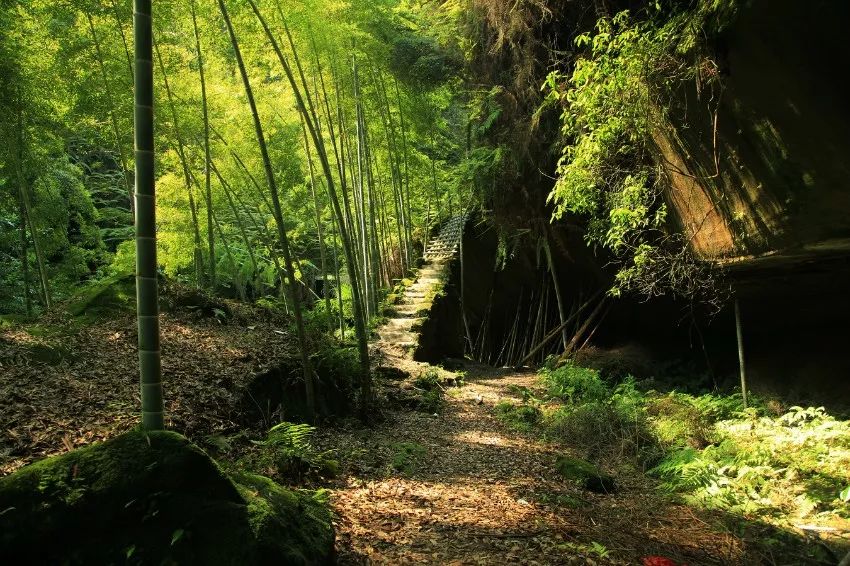 74醒悟寺醒悟寺位于荣县长山镇得胜村8组境内的真武山,因山上供奉有