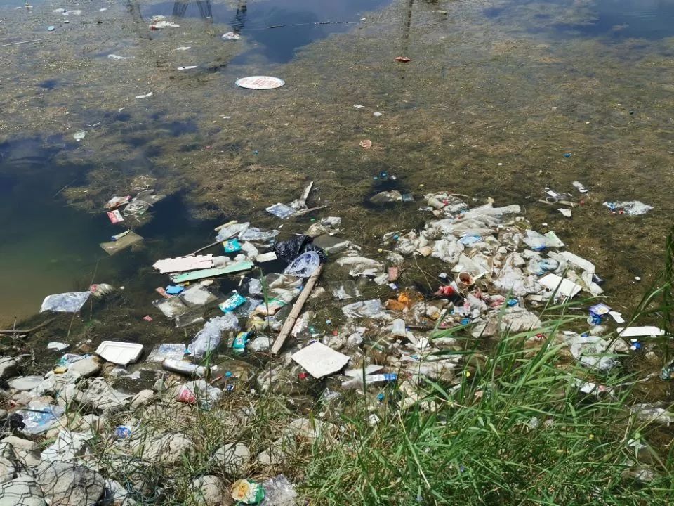 痛心典农河被这些人毁容人在跟垃圾玩