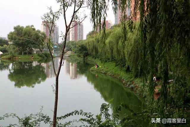 郯子公园跳河图片