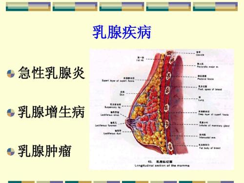 生气1小时熬夜6小时这7种病就是气出来的再生气连命都没了