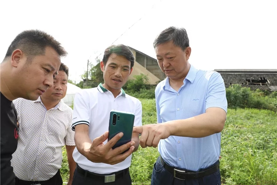 王俊铭到田坪调研产业发展情况
