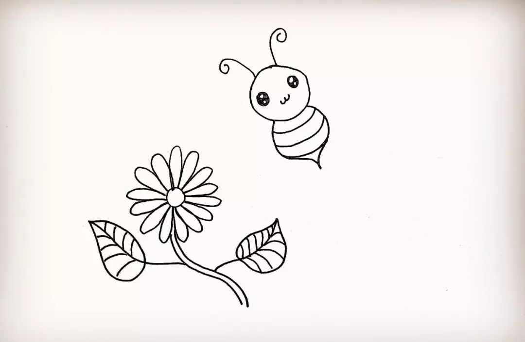 勤劳的小蜜蜂插图图片