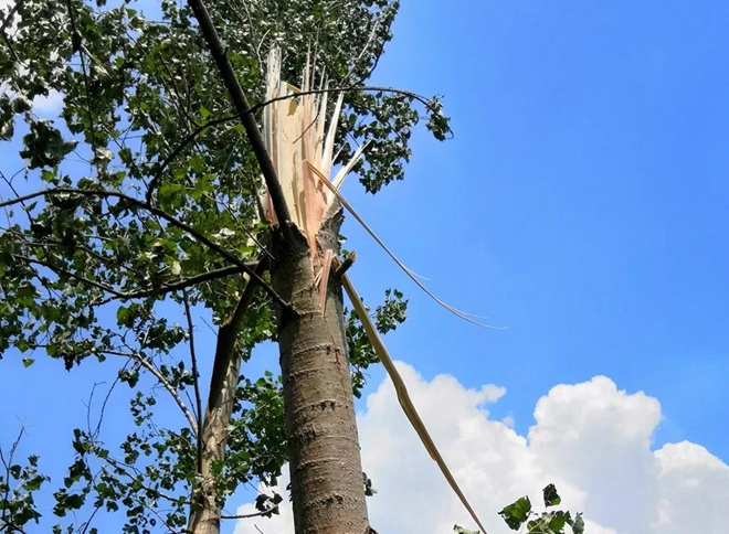 萬和鎮遭遇龍捲風襲擊,隨縣第一時間緊急搶險