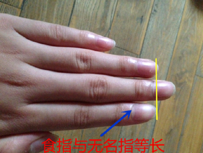 手相食指与无名指那个手指要长一点