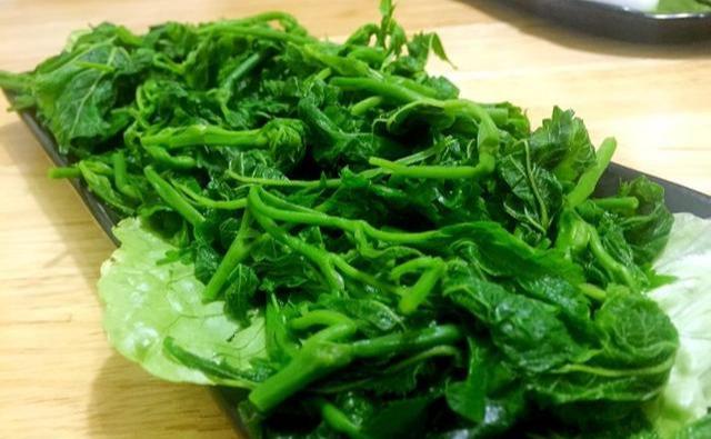 一盘素炒桑叶30块钱桑叶真的可以吃味道咋样网友难以形容