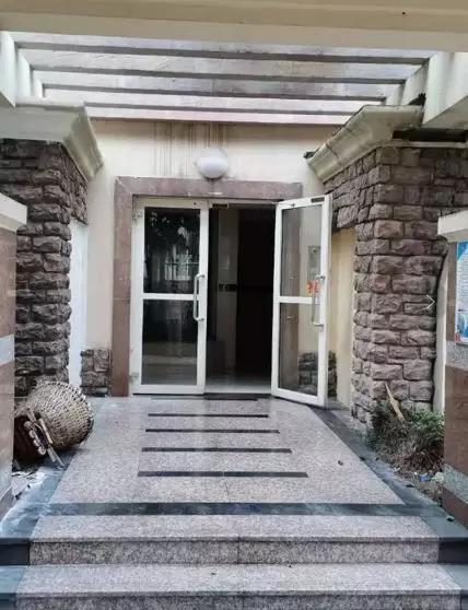 重庆帽子姐首度现身我错了我像个人人喊打的强盗