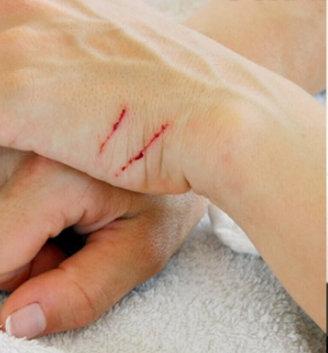 猫咪抓伤朋友女主人是这样教训它的真是太聪明了