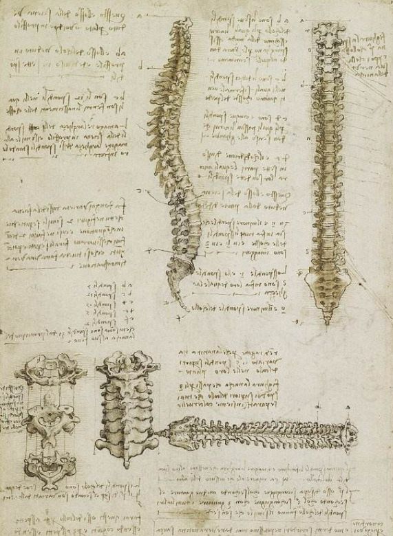 达芬奇开挂的一生都干了什么