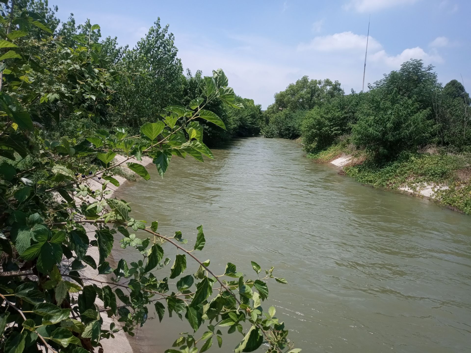 应城夹河沟泵站反抽汉北河水 首次向东西汊湖补水抗旱
