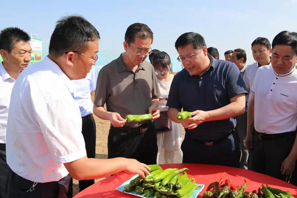 丁炜同心县县长简历图片