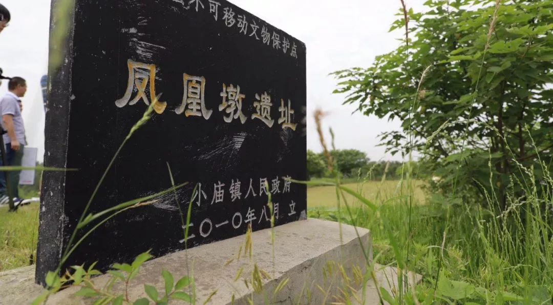 今年6月,"合肥之源"石刻在小庙镇将军岭附近落成揭牌,《合肥之源赋》