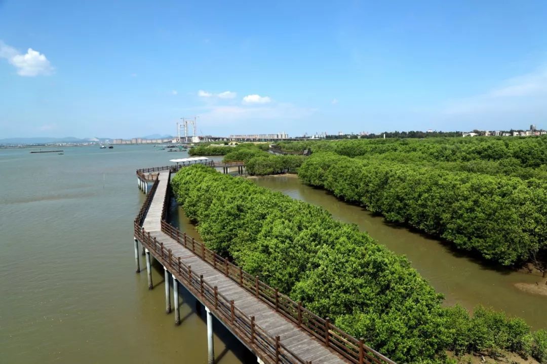 "到此一游",才发现你是这样的电白!有图有真相!