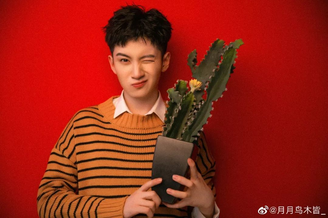 集齐偶青团河上戏19级表演专业还藏有不少潜力股