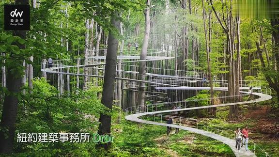 体验空中漫步土耳其漂浮森林步道公园