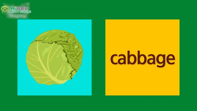 卷心菜 cabbage胡萝卜 carrot黄瓜 cucumber葡萄 grapes洋葱 onion