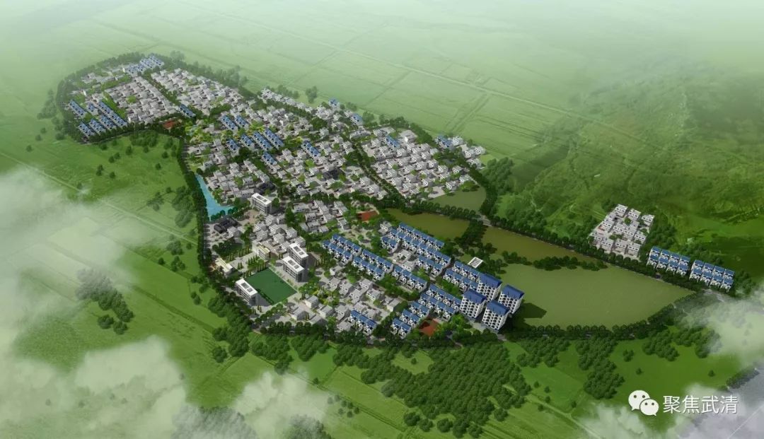 农村旱厕100%改造;乡村公路100%列养;村庄环境整治100%覆盖
