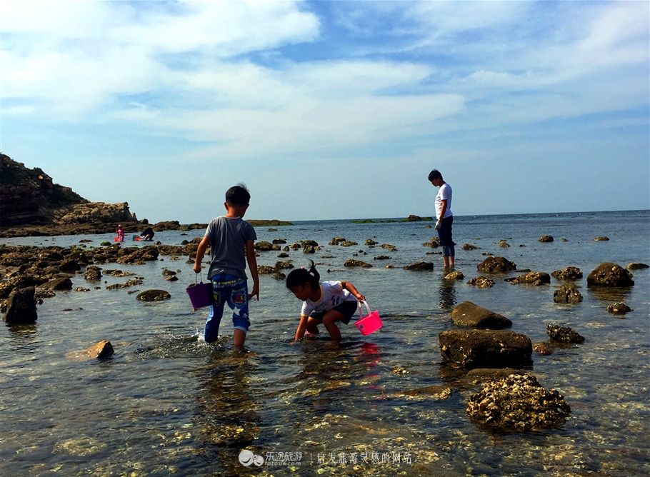 摄影/吕晓虎摄影/吕晓虎小石岛可以赶海的面积比较大,各种海鲜都很