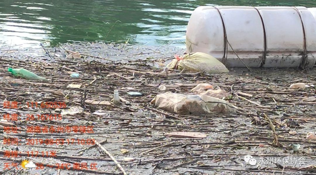 永州一级饮用水源保护区再现高度腐烂死猪