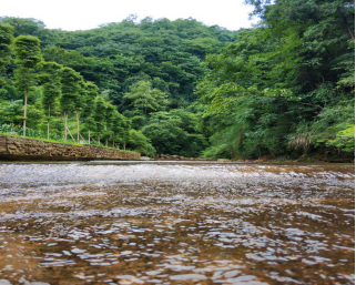 弯弓崖一日游,耍水纳凉小徒步(成都一日游)
